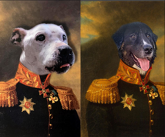 The dog portraits can also bear the name of your pet