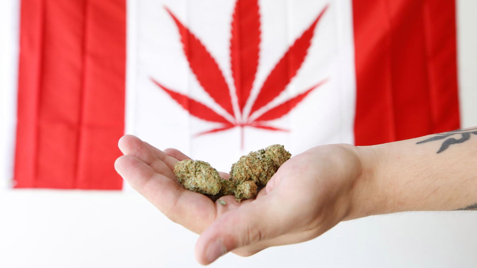 Major Health Benefits of CBD or perhaps CBD Oil