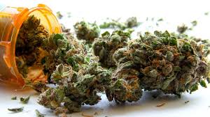 Now buyers are able to acquire cannabis legale at an affordable price