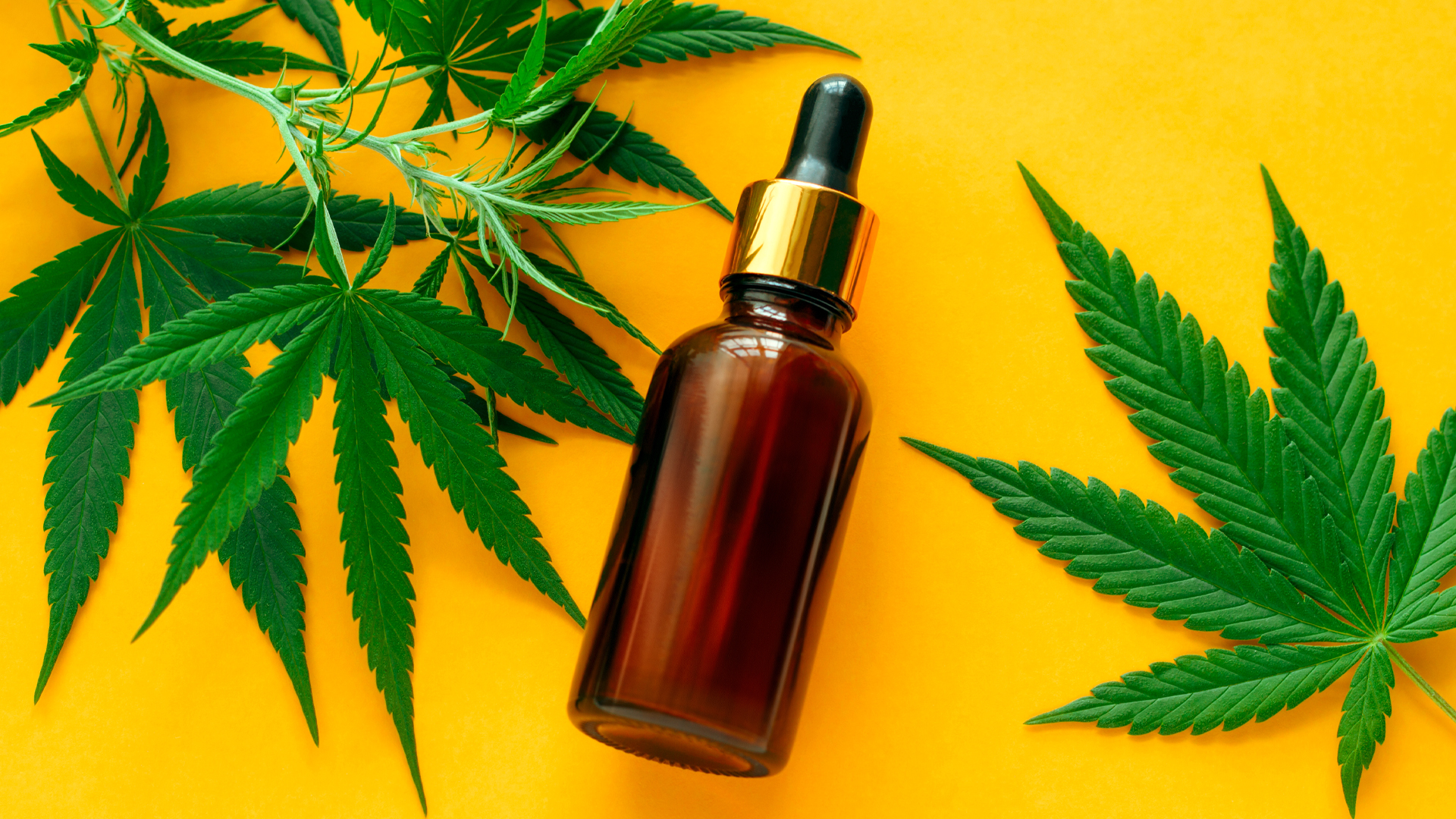 Take A Look At The Fantastic  Benefits Of CBD Oil!