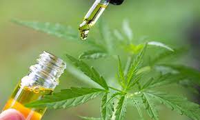 What to know about CBD liquid