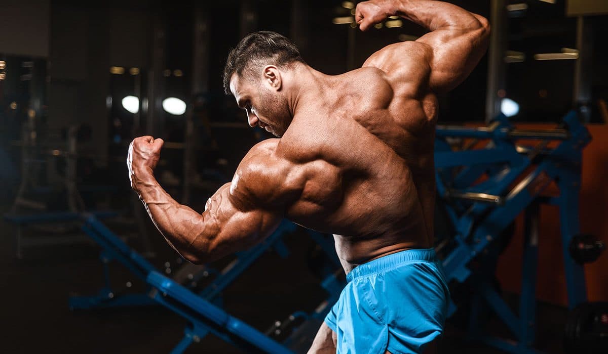 Steps To Get Rid Of Belly Fat Fast Using SARMs