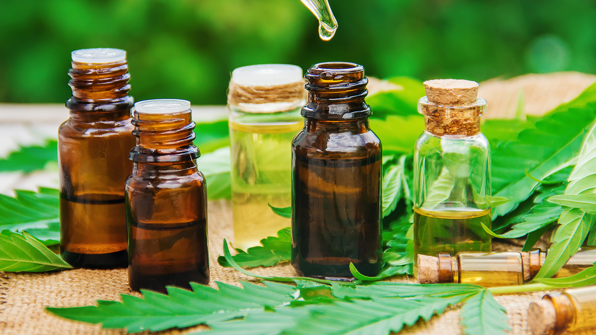 Find out if Organic CBD is safe for you to give to your pets.