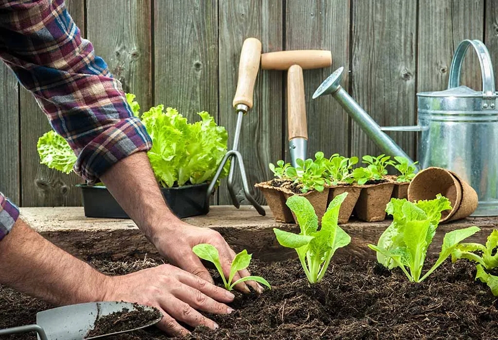 10 Steps to Building a Successful Vegetable Garden: Soil Preparation Tips