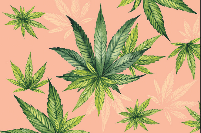 Everything About Online dispensary