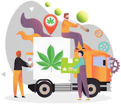 Understand how extended it takes to marijuana delivery surrey