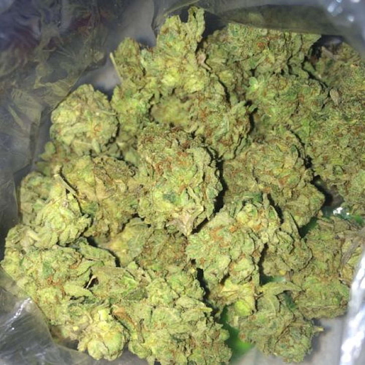Where To Get Best Prices For Bulk Weed?