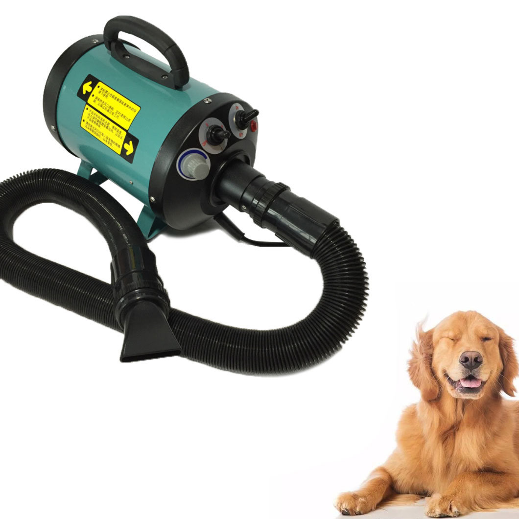 Get help to buy a dog paw cleaner and dryer
