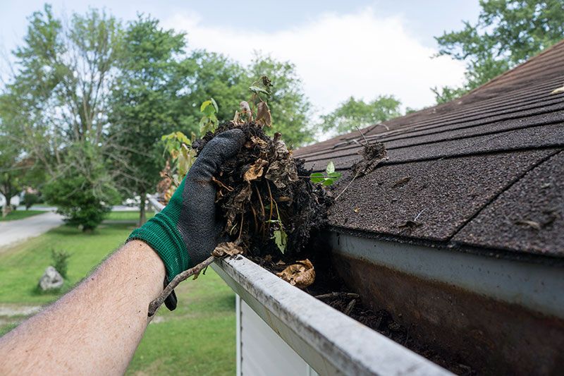 Good reasons to maintain your home windows dust-totally free