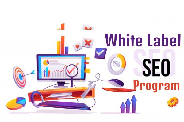 Elevate your organization via white label SEO service