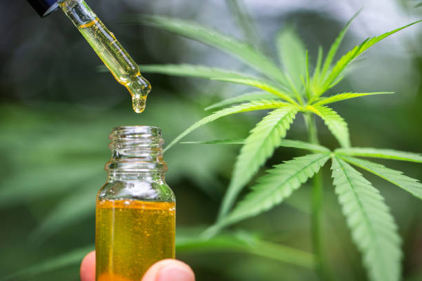 Does Cannabidiol Really Help Anxiety? An Overview of Current Research on CBD Oils