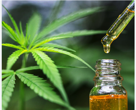 A guide on how to choose high-quality CBD