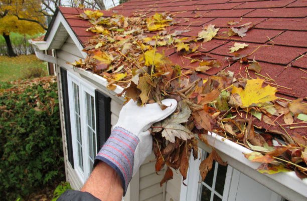Why is it the right time for you to clean your gutter?